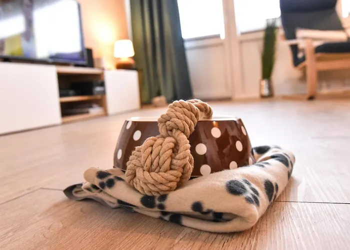 App. 54° Semesterbostad